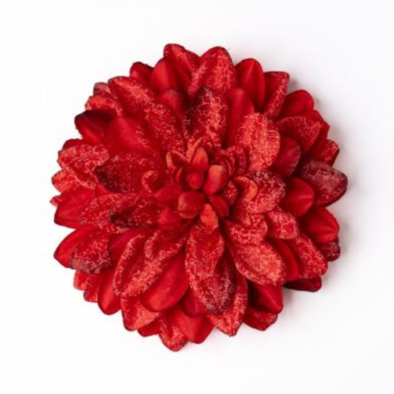 Dahlie rot deluxe