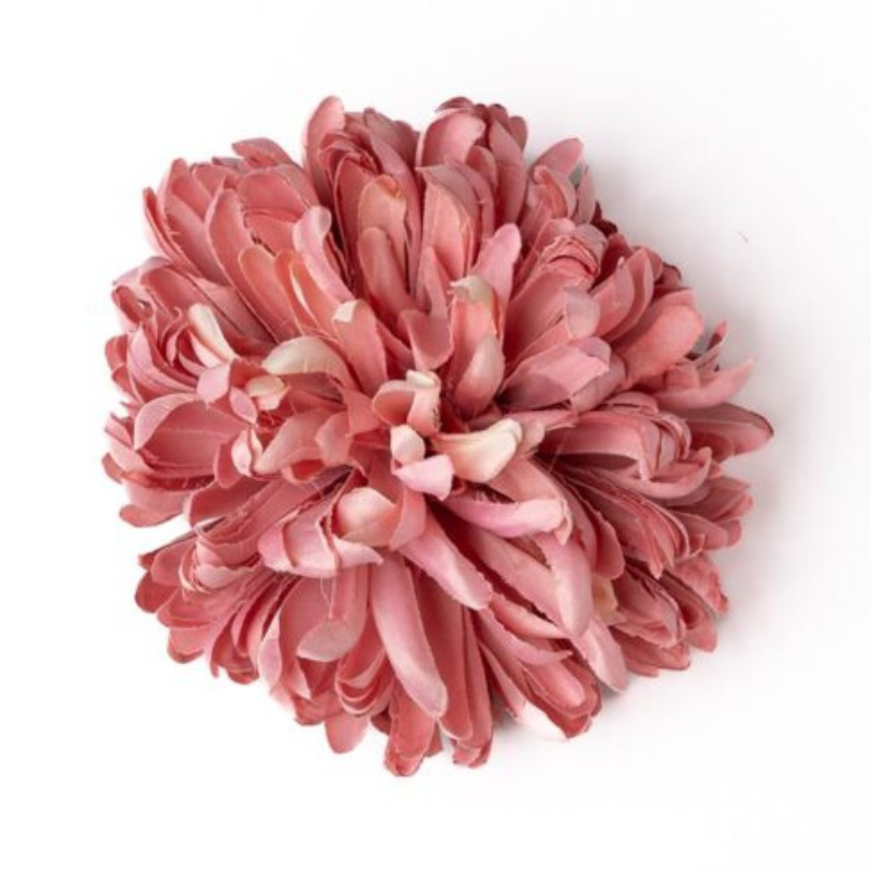 Chrysantheme altrosa/creme deluxe