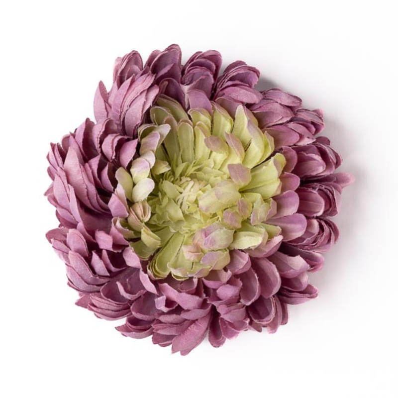 Chrysantheme weissgrün / puderviolette deluxe
