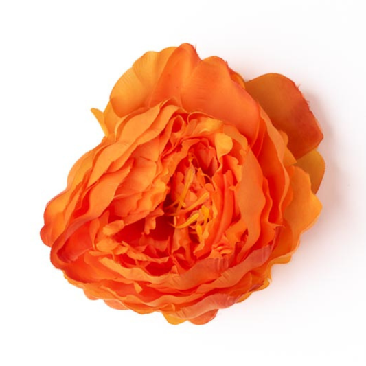 Peonia orange